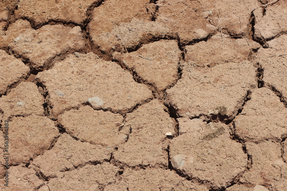 Fototapeta premium A dry and cracked soil