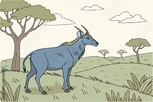 Wildlife & Nature Illustrations: Animals, Insects, and Landscapes