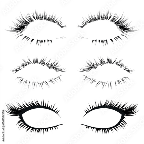 Hand Drawn Thin Curly Long Eyelashes Isloated On a White Background