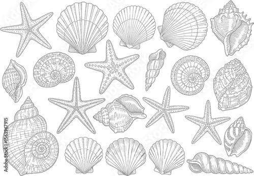 Vintage Seashell and Starfish Engraving Set