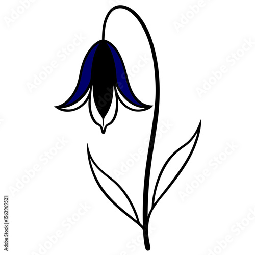 a bluebell