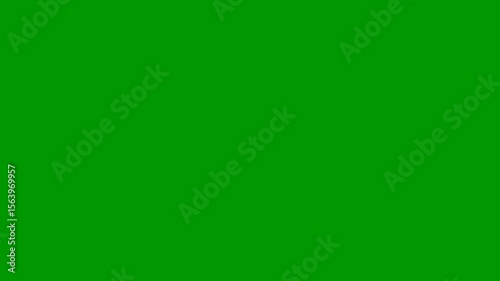 circles Highlight and line art animation 4k, modern glowing circle path animation on green screen and black background, seamless line art movement for futuristic and corporate visuals.