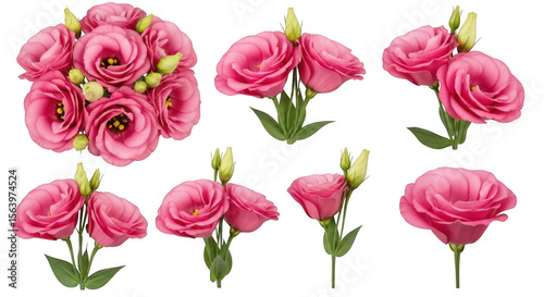 Stunning Arrangements of Beautiful Pink Lisianthus Flowers Perfect for Floral Design and Weddings, isolated on a transparent background