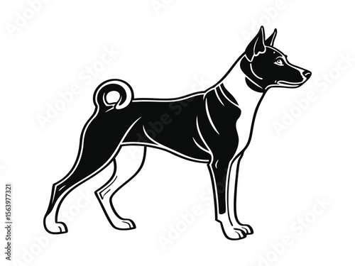 Basenji dog silhouette vector illustration, pet clipart, black and white animal shape