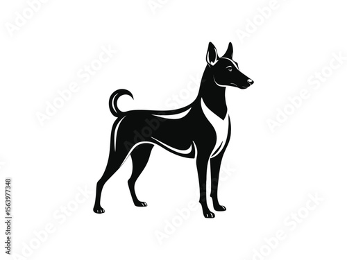Basenji dog silhouette vector illustration, pet clipart, black and white animal shape