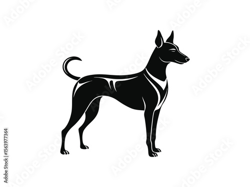 Basenji dog silhouette vector illustration, pet clipart, black and white animal shape