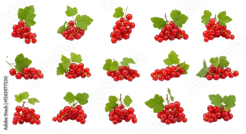 Fresh Red Currants with Green Leaves Ideal for Culinary and Health Uses, isolated on a transparent background