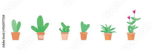 Set of house plants in a pot. Flat style. Green plant in a flower pot for cozy decoration of home, garden, veranda, balcony, terrace, office, living room, patio. Vector illustration.