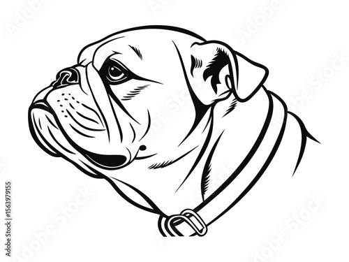 Bulldog dog silhouette vector illustration, pet clipart, black and white animal shape