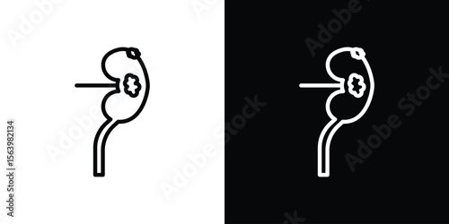 Kidney disease icon. Simple thin line, outline vectors