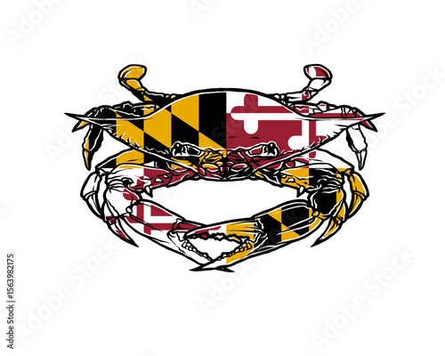 Maryland blue crab illustration with flag design seafood graphic art vector image for apparel design Vector EPS 