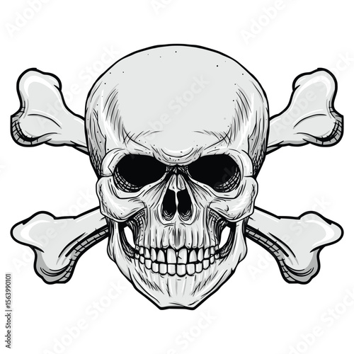 Skull Vector Isloated On a White Background