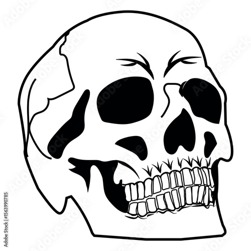 Skull Vector Isloated On a White Background