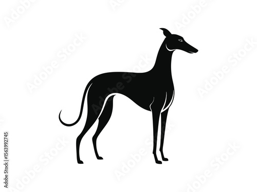 Whippet dog silhouette vector illustration, pet clipart, black and white animal shape