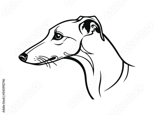 Whippet dog silhouette vector illustration, pet clipart, black and white animal shape