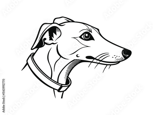 Whippet dog silhouette vector illustration, pet clipart, black and white animal shape