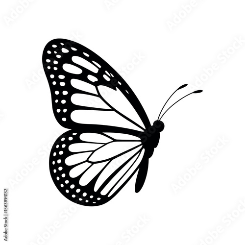 Butterfly Silhouette on white background
