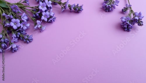 Elegant Arrangement of Lavender Flowers on Soft Purple Background Creating a Calm Atmosphere