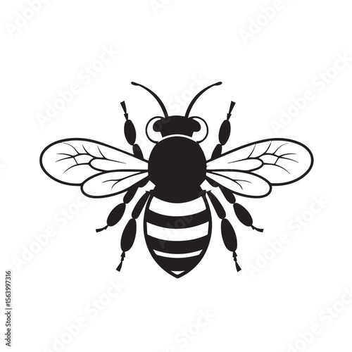 A black and white illustration of a honeybee isolated on white background