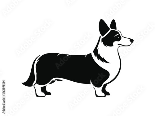 Welsh Corgi (Cardigan) dog silhouette vector illustration, pet clipart, black and white animal shape