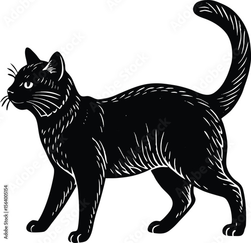Vintage engraving style black domestic cat standing isolated illustration