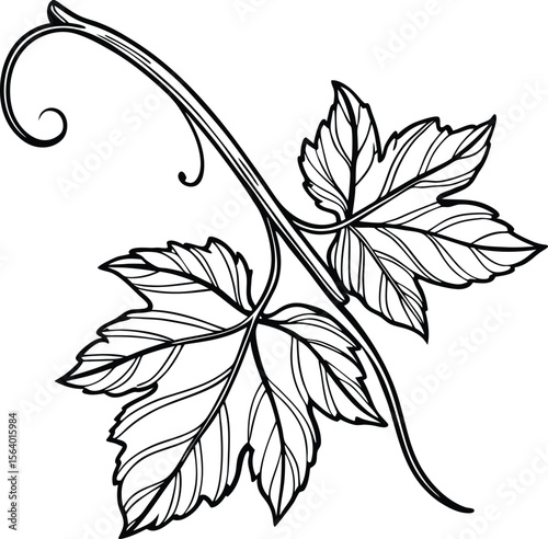 Seamless black and white vector floral pattern with blossoms, leaves, and vintage-inspired ornamental design