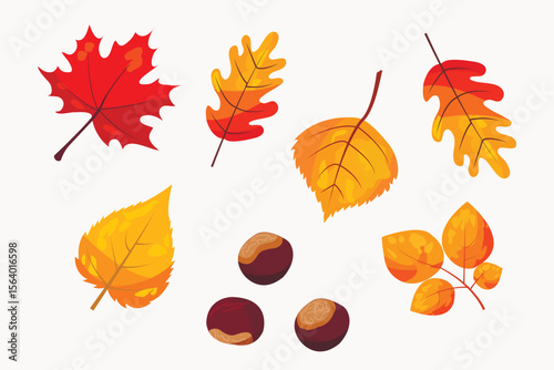 set of autumn leaves and chestnuts isolate on white background