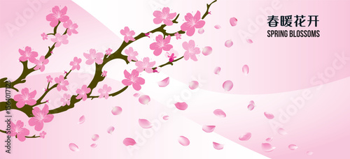 Pink blossom flowers blooming on tree, Chinese New Year Festive, Spring Festival, Family reunion dinner Chinese new year festive, Plum and peach blossoms floral decorations symbolize courage, hope