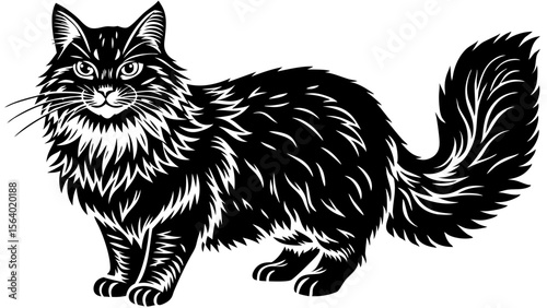 Norwegian forest cat standing in black and white style  