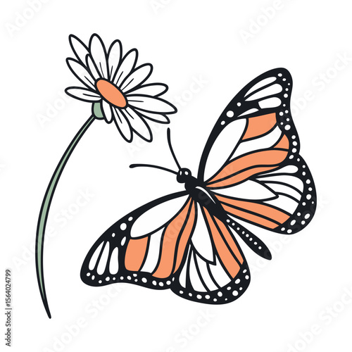 Butterfly and Daisy Illustration