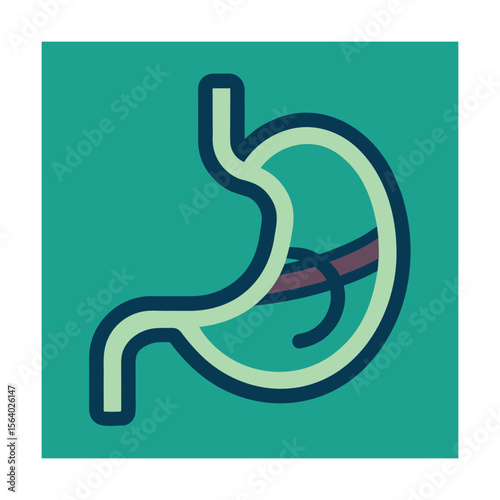 Stomach anatomy icon