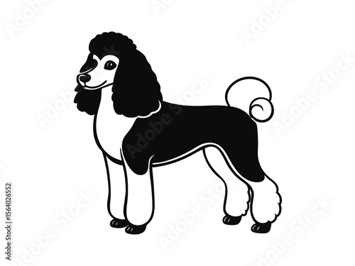 Standard Poodle dog silhouette vector illustration, pet clipart, black and white animal shape