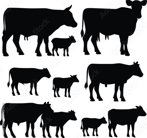 Collection of black cow and calf silhouettes on white background