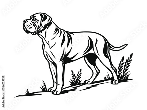 Mastiff dog silhouette vector illustration, pet clipart, black and white animal shape