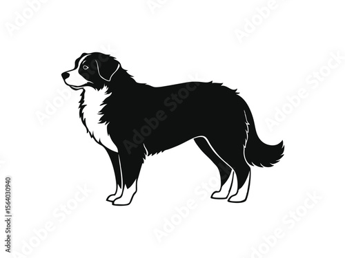 Bernese Mountain Dog dog silhouette vector illustration, pet clipart, black and white animal shape