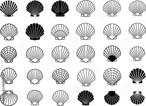 Elegant Seashell Collection A Variety of Black and White Illustrations Depicting Scallop Shells in Different Styles for Artistic and Decorative Purposes