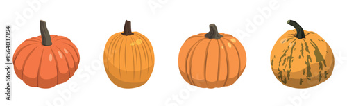 Set of realistic big orange pumpkins on white background - Vector illustration