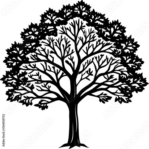 Silhouette of a majestic tree with a full canopy of branches and leaves