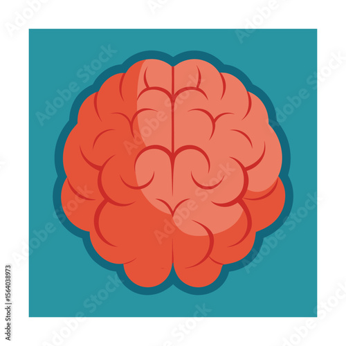 Human brain top view