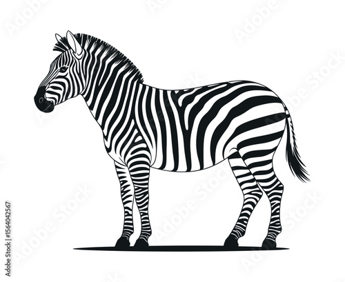 Elegant Black and White Zebra Silhouette Design Side view zebra simple black white design zebra animal wildlife mammal africa black white silhouette illustration