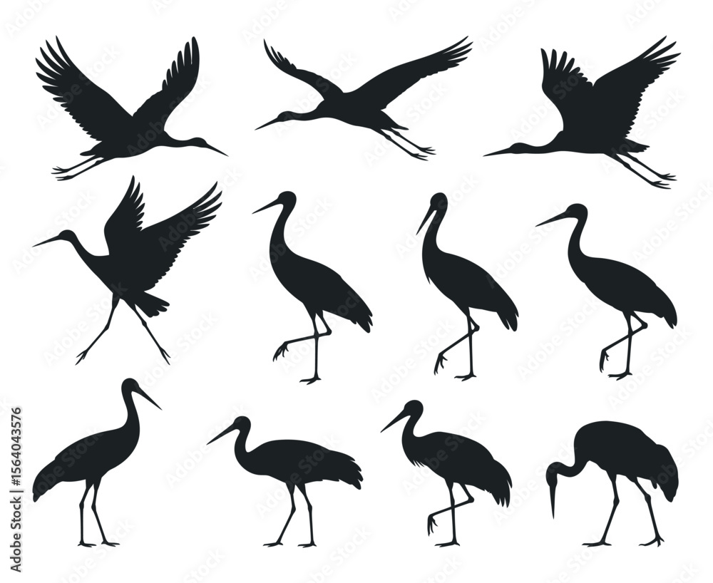 Naklejka premium Collection of Black and White Crane Silhouettes in Various Poses cranes flight standing positions crane bird silhouette black white flying standing animal wildlife
