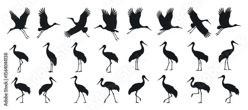 Collection of Black and White Crane Silhouettes in Various Positions cranes flight standing positions crane silhouette bird wildlife nature black white vector illustration
