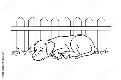 Puppy resting by white picket fence lying down grass