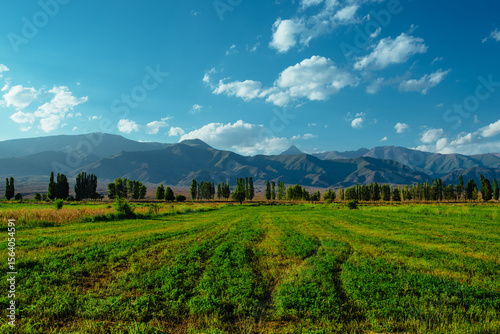 Fototapeta Naklejka Na Ścianę i Meble -  Beautiful landscape with agricultural green field on mountains background in summer in Kyrgyzstan