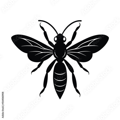 wood wasp vector illustration