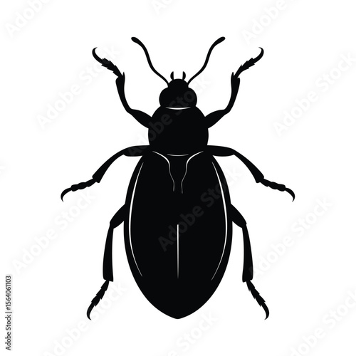whirligig beetle silhouette vector