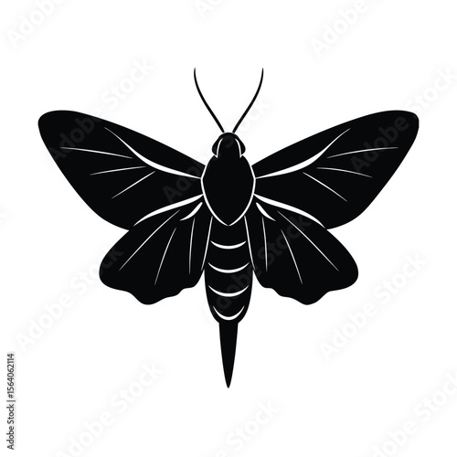 sphinx moth silhouette vector illustration