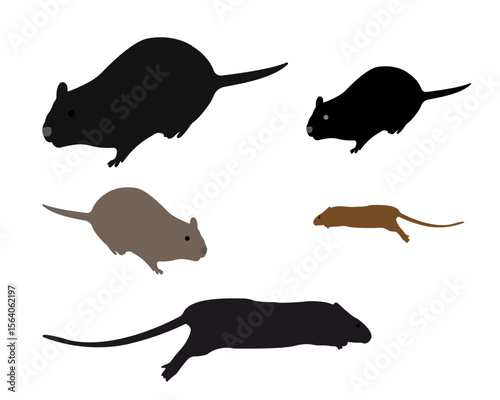 A rat character set features vector illustrations of rats in various styles and poses, including cute, cartoon, silhouette, realistic, and animated versions. These may depict rats standing, sniffing.