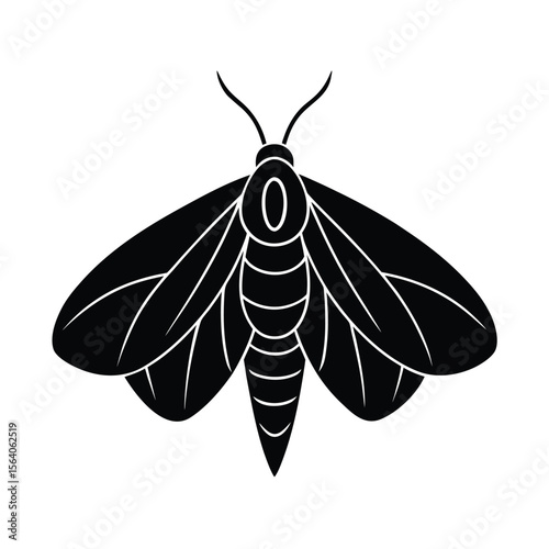 rosy maple moth silhouette vector