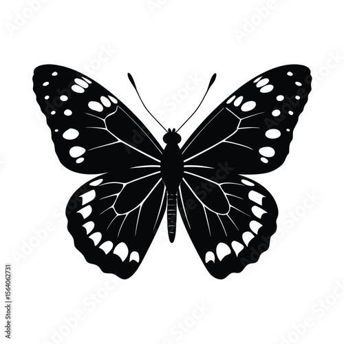  painted lady silhouette on white background
